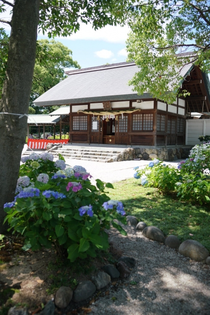 御裳神社の境内に咲くあじさい