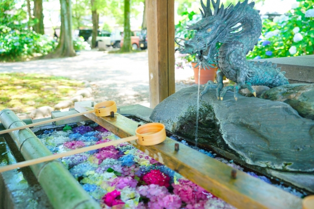 御裳神社の花手水に浮かぶ色とりどりのあじさい